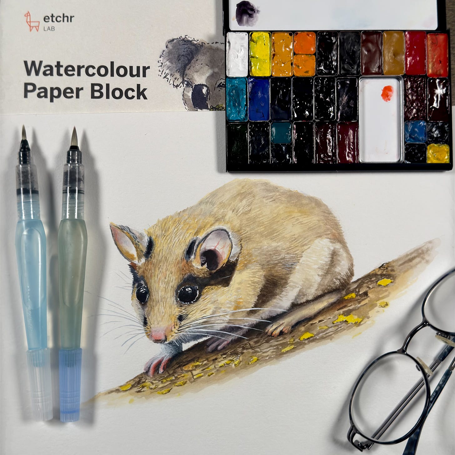 A watercolor painting of a dormouse perched on a branch, surrounded by a watercolor palette, two water brushes, and glasses on an Etchr hot-pressed watercolor paper block.