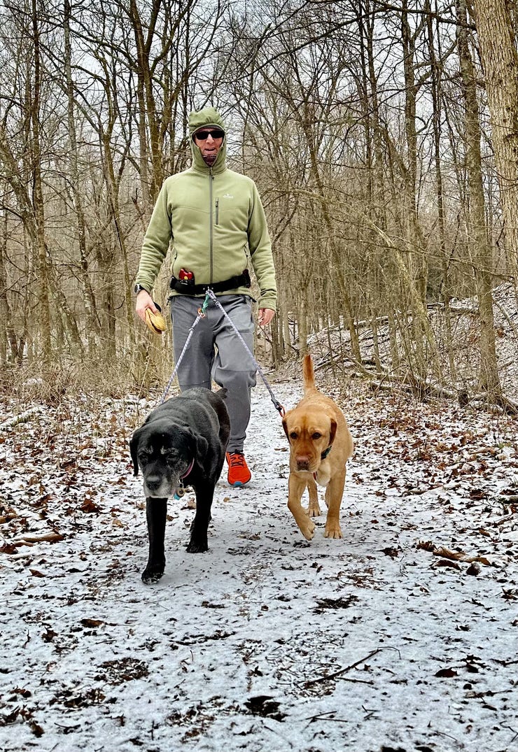 The labs enjoying some of the first snow of the year in south western Pennsylvania.