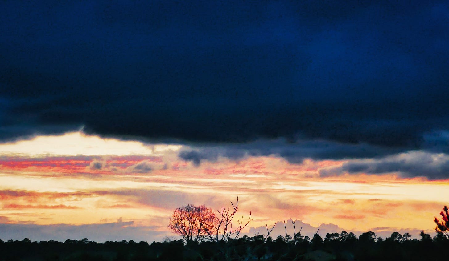 Dark clouds hover over the horizon with sun-streaked clouds below and a single tree in the middle reflecting the range of the setting sun
