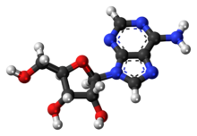 Adenosine - Wikipedia