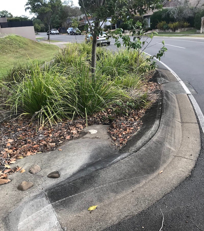 raingarden-sept2024.jpg