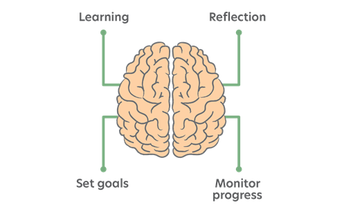 Metacognition process