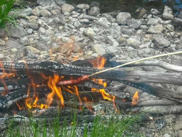 campfire cooking