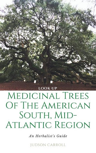 The Medicinal Trees of the American South, An Herbalist's Guide