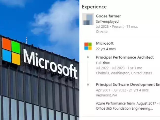 Screenshot showing a LinkedIn profile with 22 years at Microsoft as a principal engineer, followed by a current stint as a "Goose farmer"