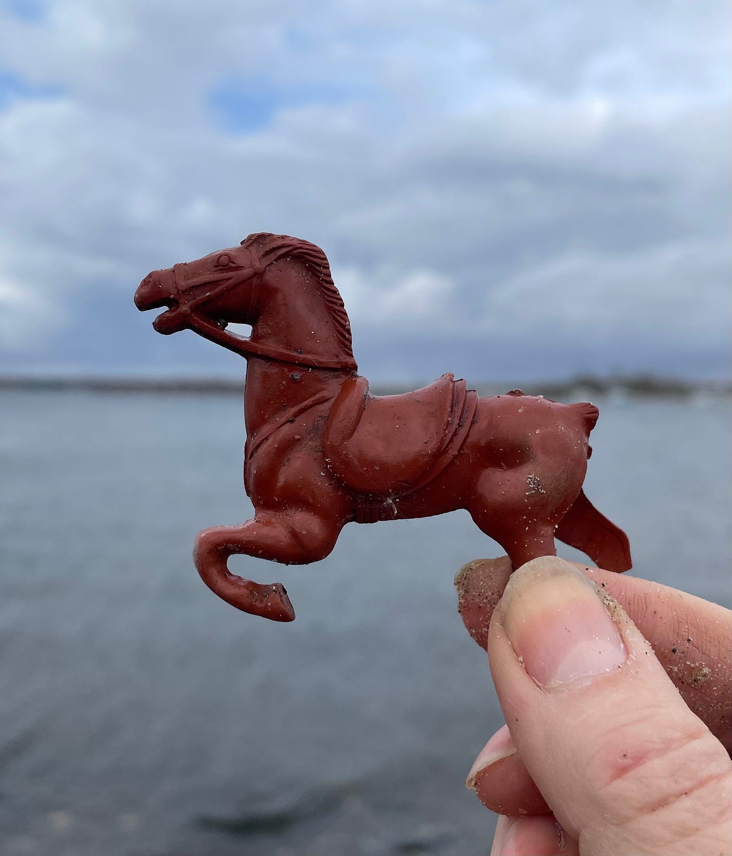 plastic toy horse at dead horse bay