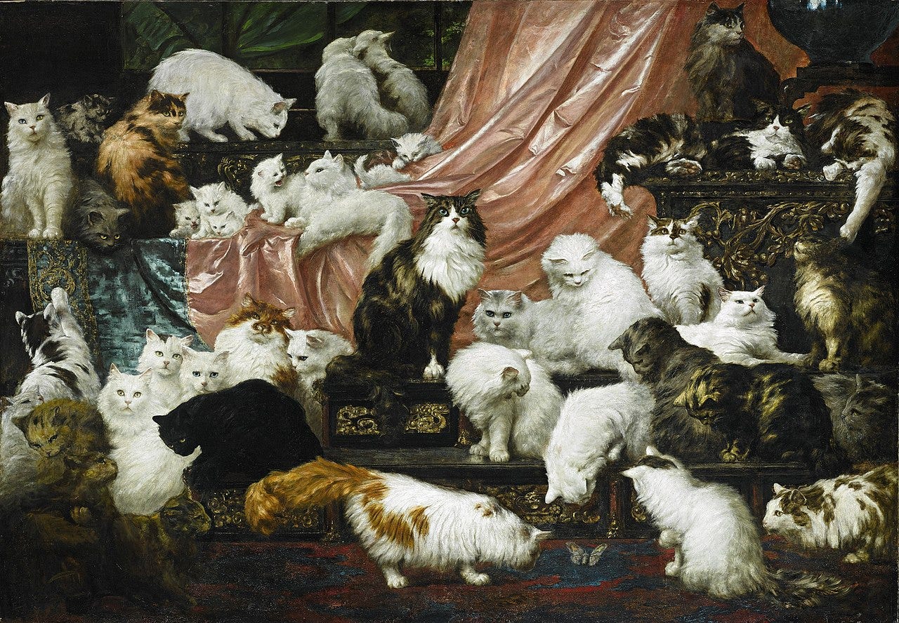 A painting with 42 Turkish Angora cats.
