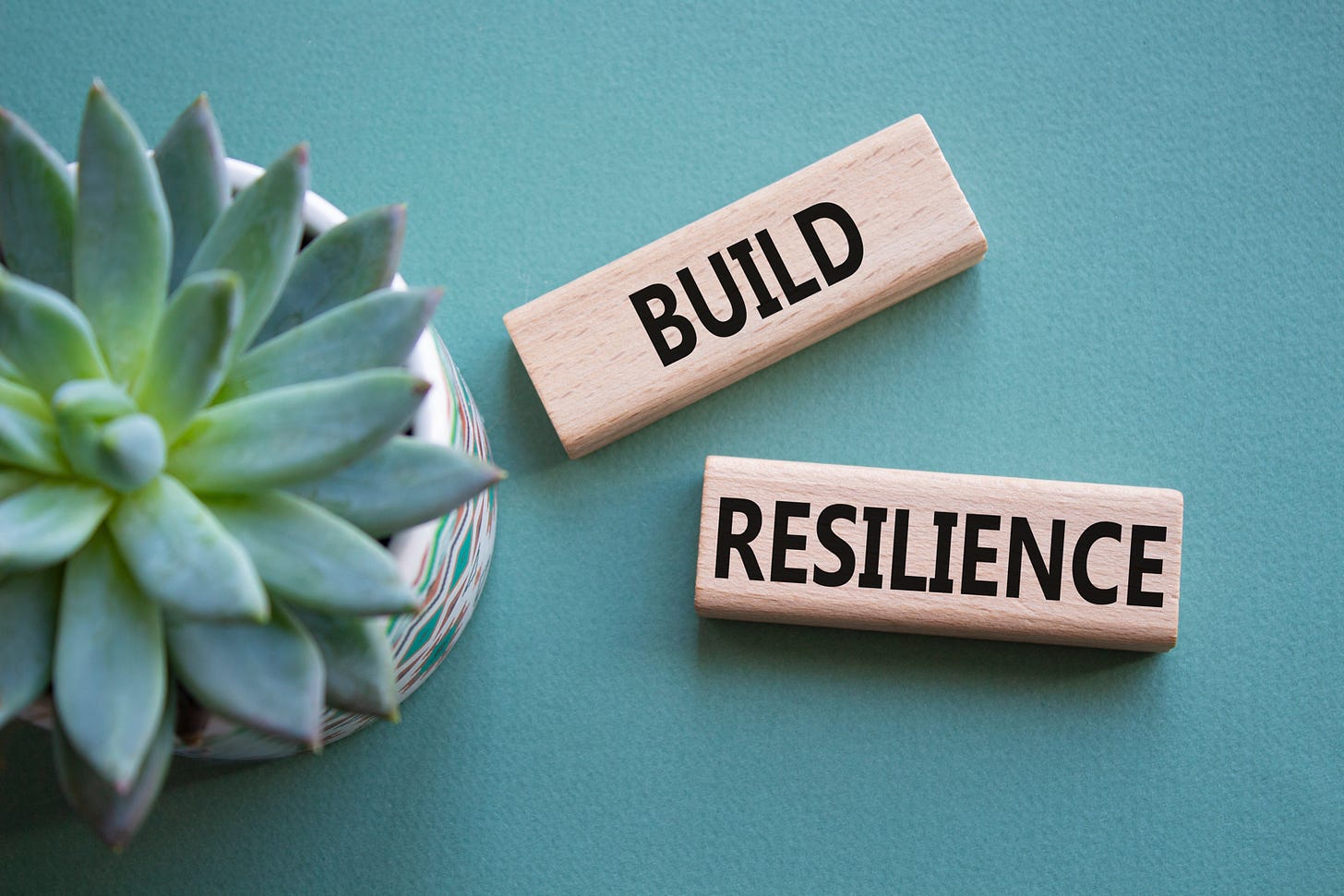 How to be a resilient writer. Image shows wooden blocks with the words 'build' and 'resilience' next to a succulent plant, on a grey/green background.