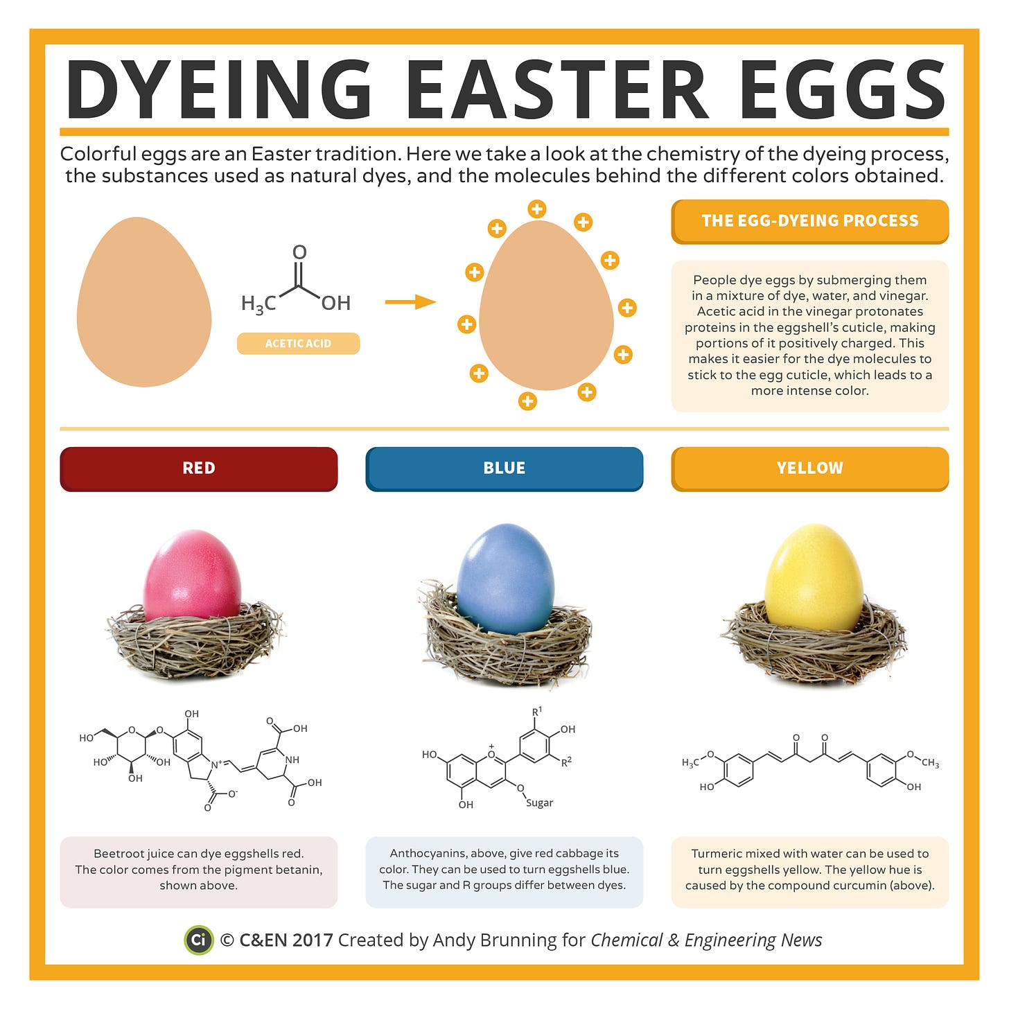Graphic highlighting some of the different substances that can be used to dye egg shells various colours and the chemical structures of their dyes. Beetroot (red from betanin), red cabbage (blue from anthocyanins) and turmeric (yellow from curcumin) are highlighted.