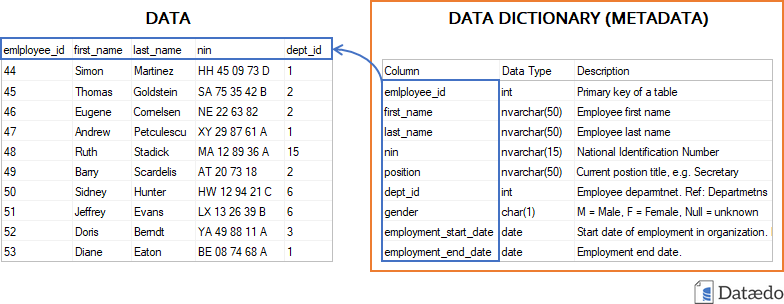 What is Data Dictionary - Data terminology
