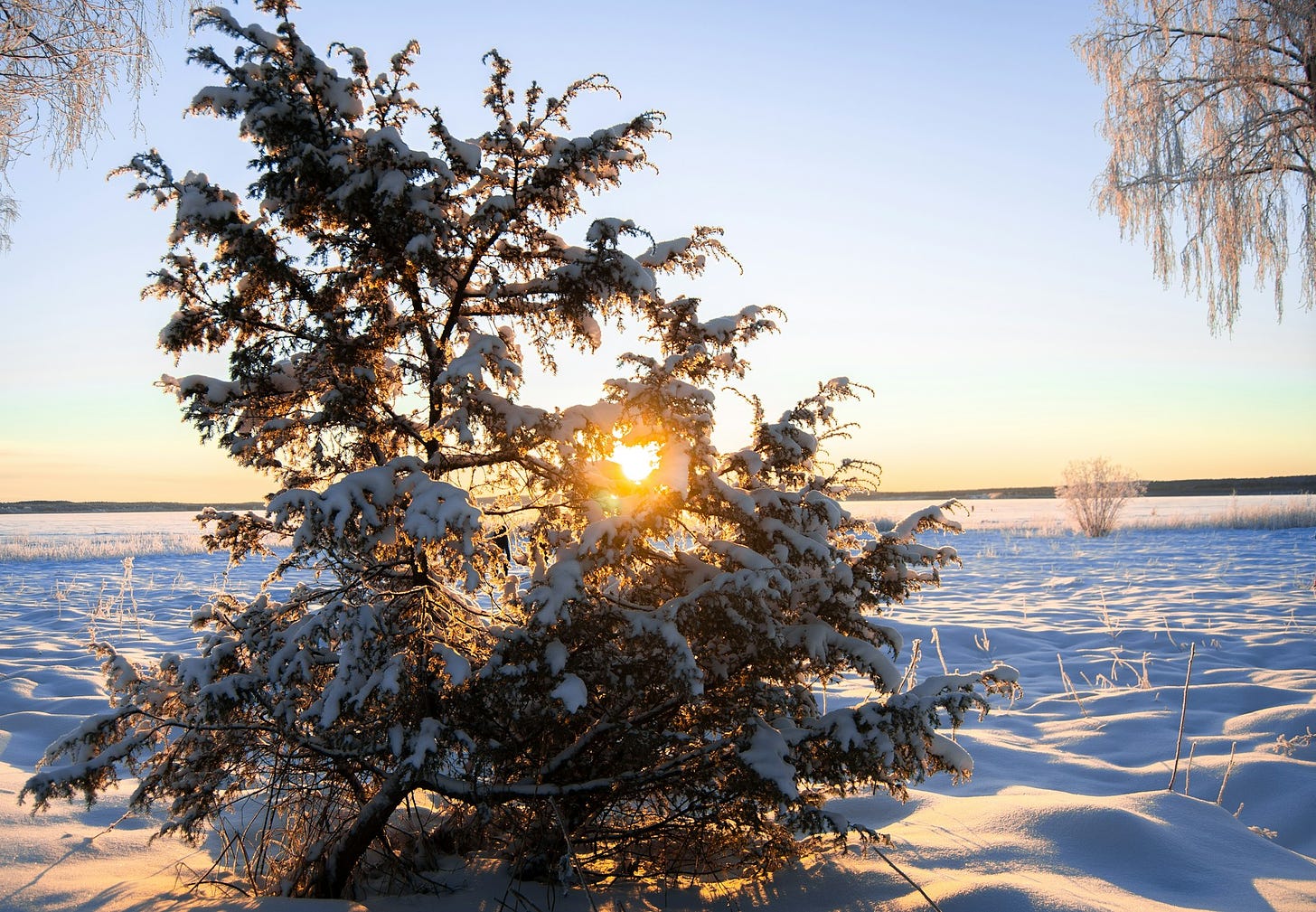 Sunrise winter - Photo by Nils Söderman on Unsplash