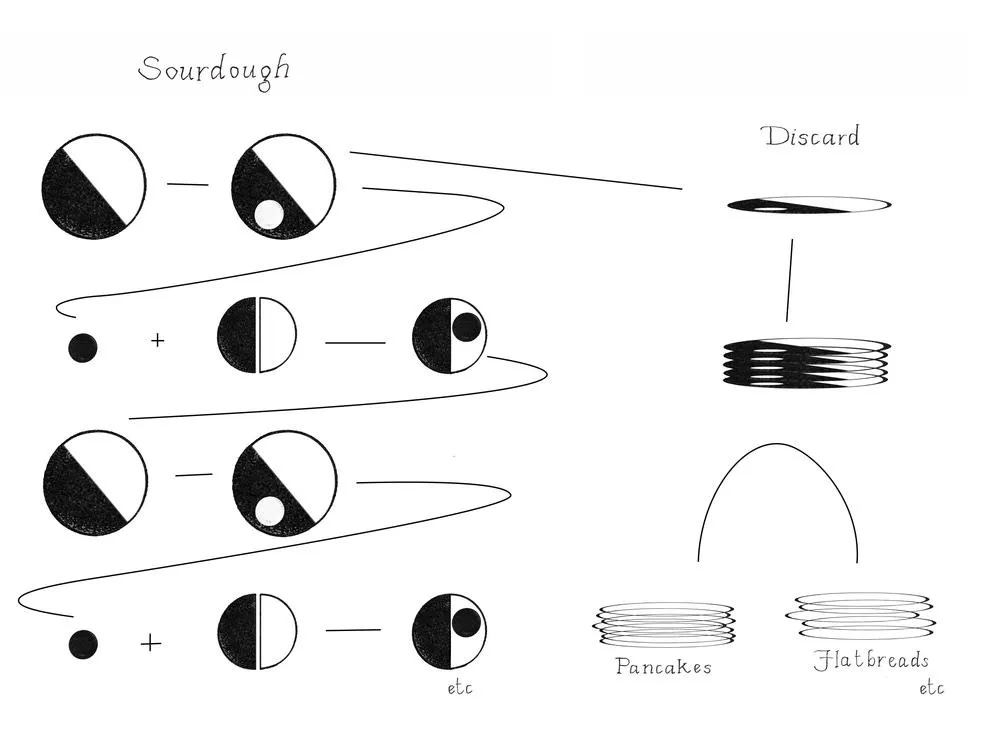 illustration of a sourdough feeding schedule
