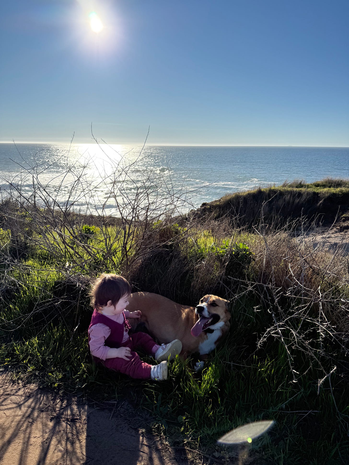 the ferraro baby and dog posing on the cliffs with the ocean and sun behind them in a magical picture