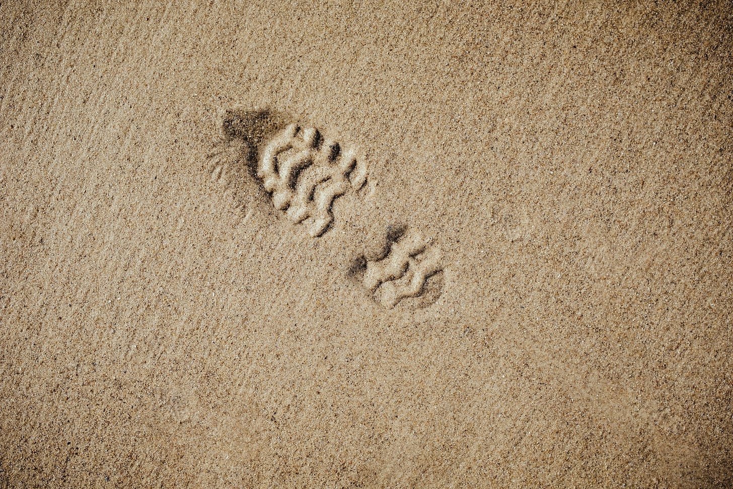 Impronta di uno scarpone sulla sabbia vista dall'alto. La punta dello scarpone punta in obliquo verso la parte alta e sinistra dell'immagine.
