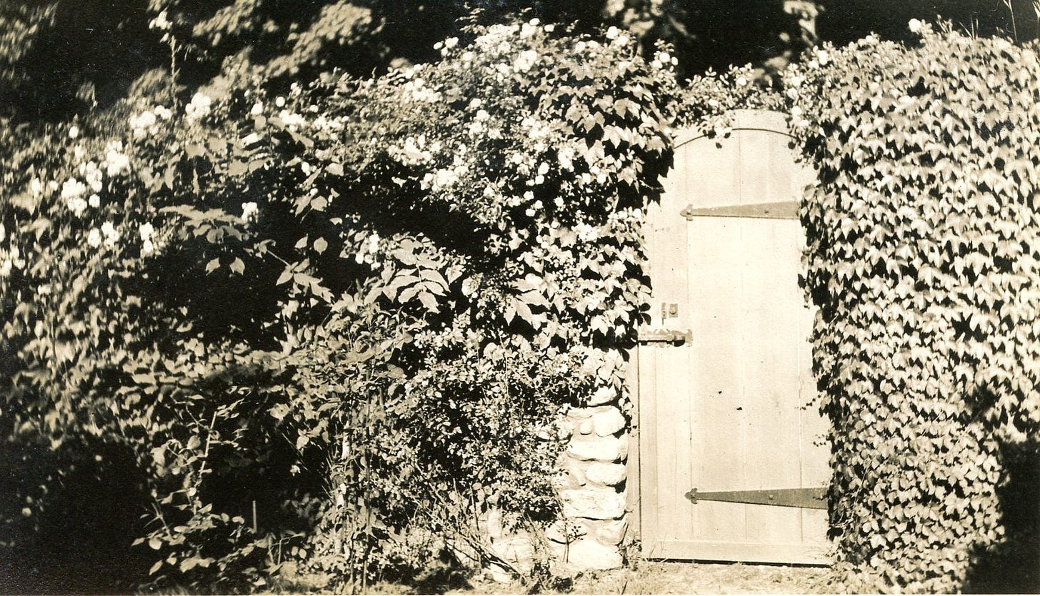 gate and ivy covered rock wall