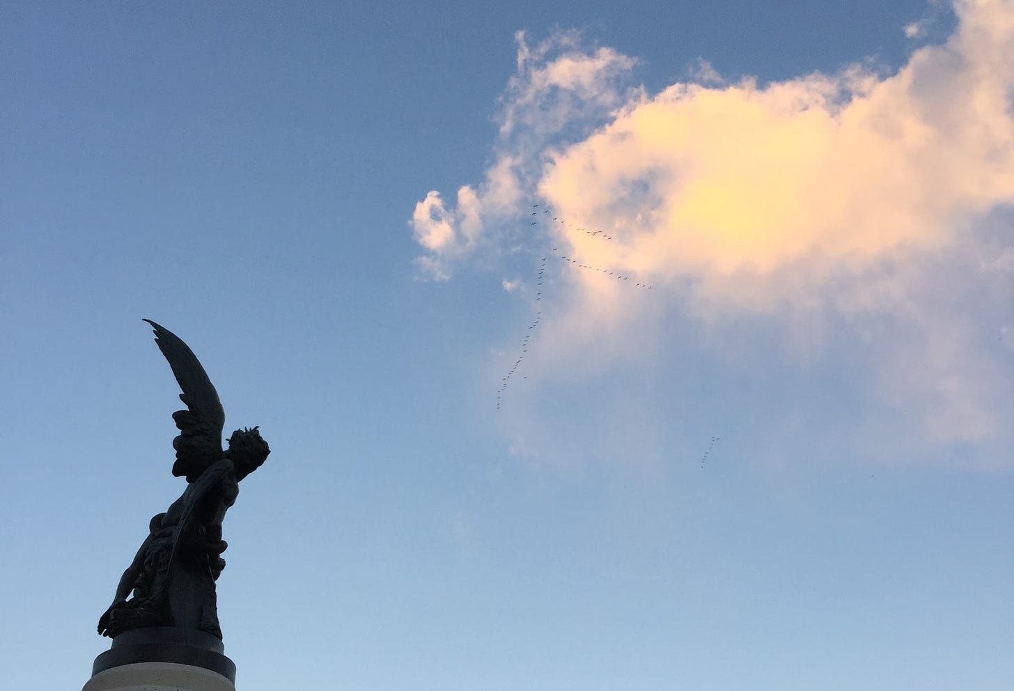 A photo looking up at the silhouette of an angel sculpture, set against a blue sky with a “V” formation of birds flying high up above.