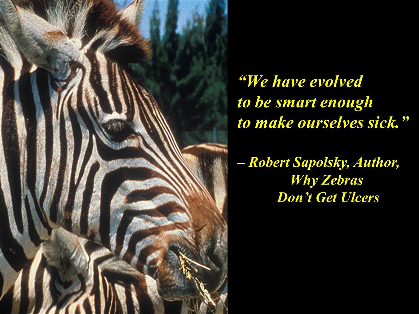 Managing Stress 8E Principles and Strategies for Health and Well-Being Brian Luke Seaward, Ph.D. Unless otherwise noted, all images were supplied by Brian. - ppt download Managing Stress 8E Principles and Strategies for Health and Well-Being Brian Luke Seaward, Ph.D. Unless otherwise noted, all images were supplied by Brian. - ppt download