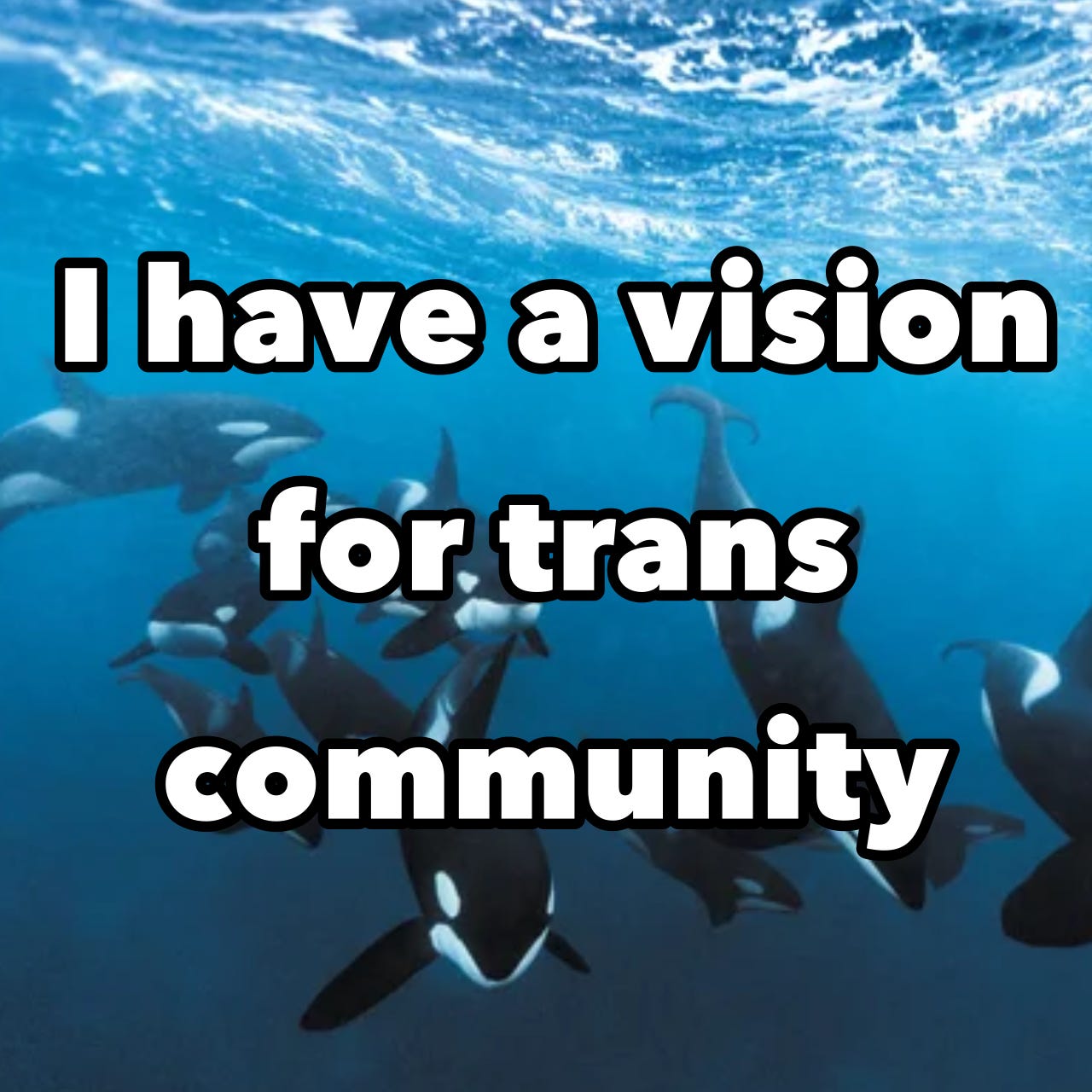 I have a vision for trans community