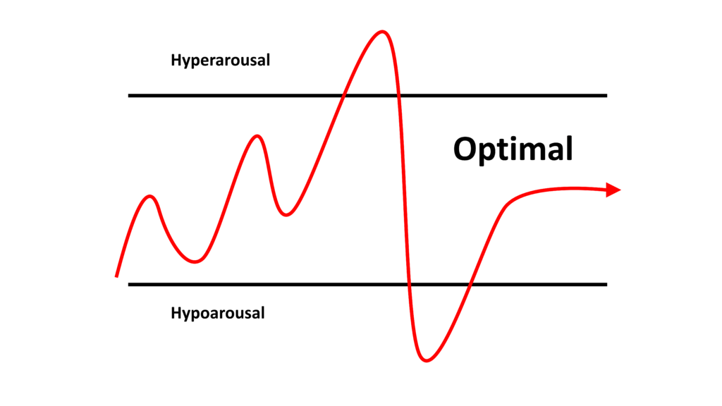 Two horizontal lines representing hyper-arousal on top and hypo-arousal in the bottom with a red oscillating line in the middle representing optimal arousal