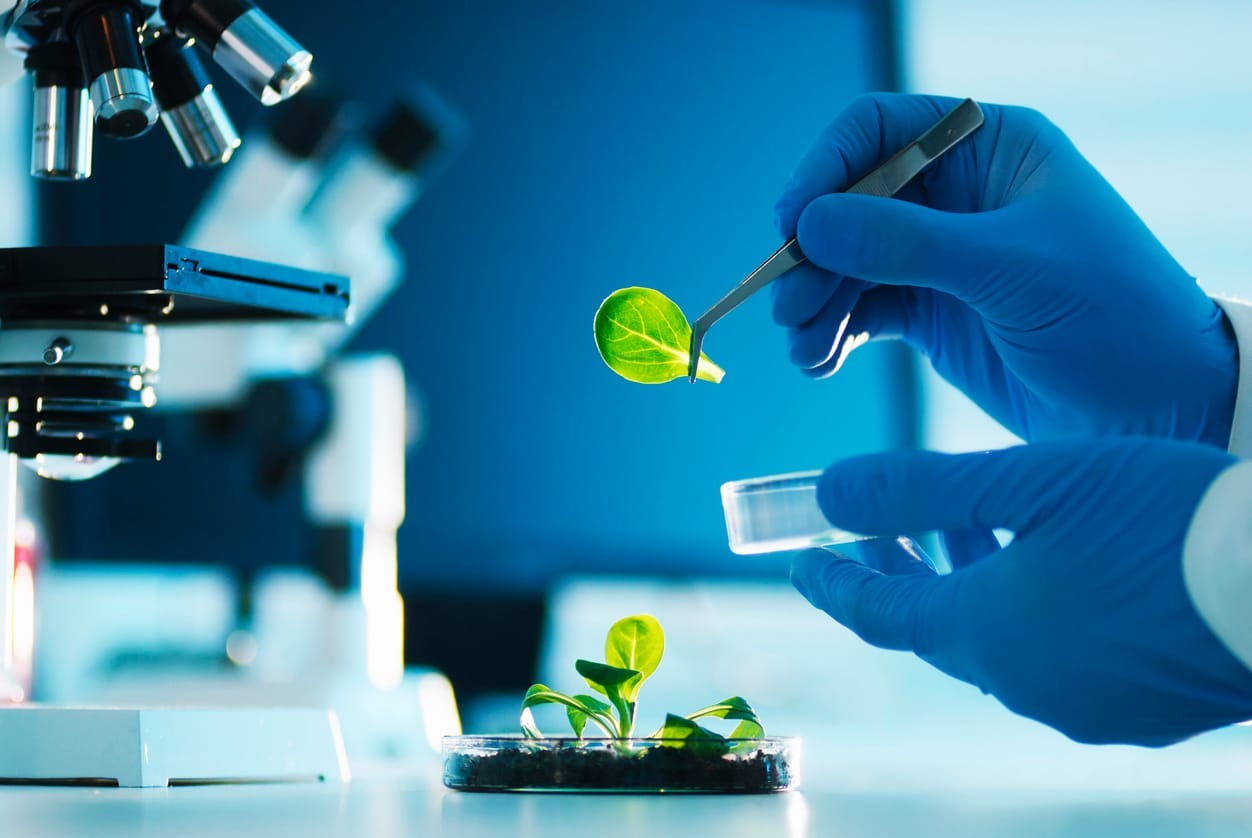 CRISPR and the Promise of Climate-Resilient Crops in India CRISPR and the Promise of Climate-Resilient Crops in India