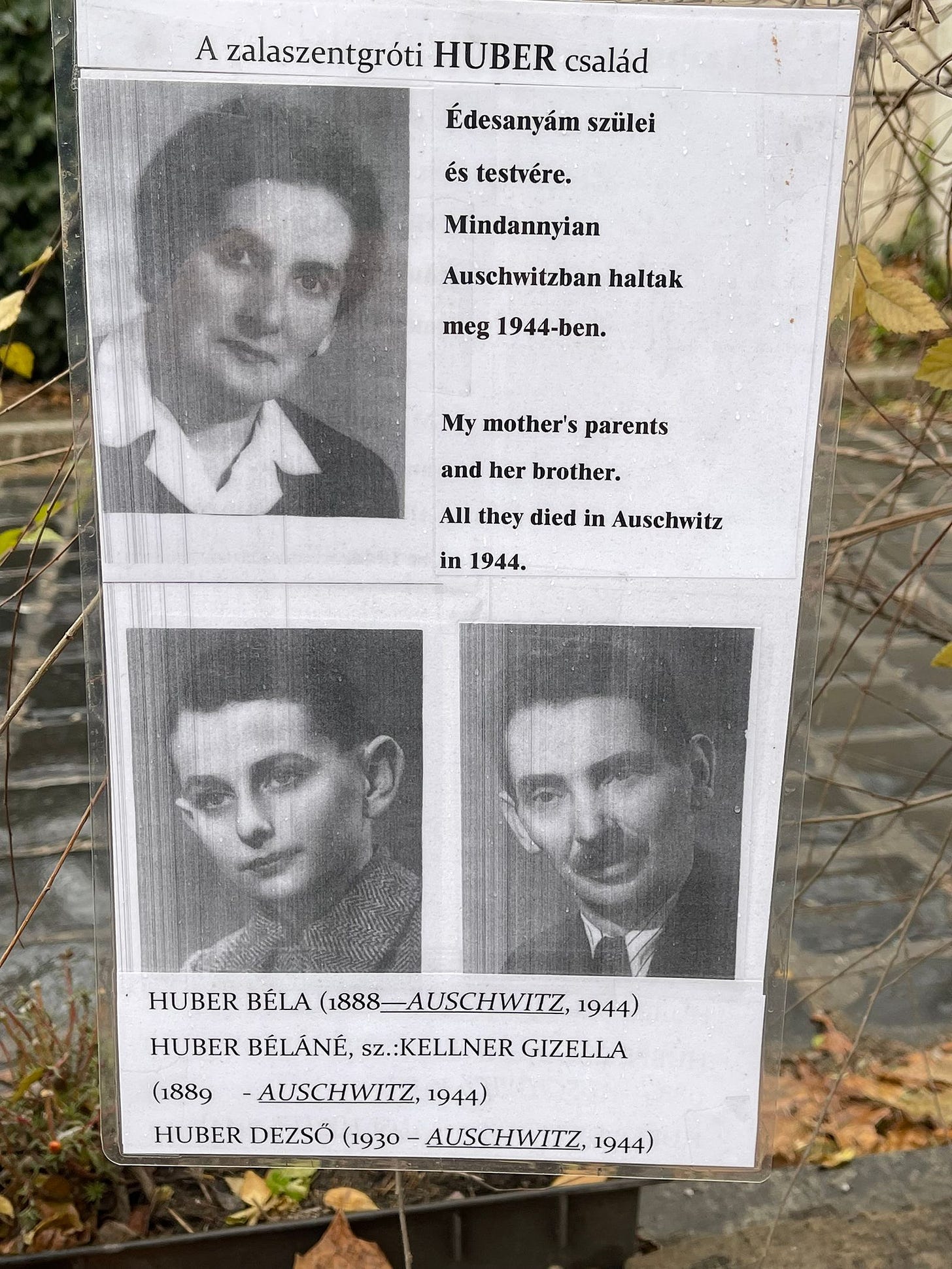 Leaflets left at the memorial to commemorate the 70th anniversary of the deportation of Hungary's Jews. Budapest, Freedom Square. (Photo by Vivian Bercovici)