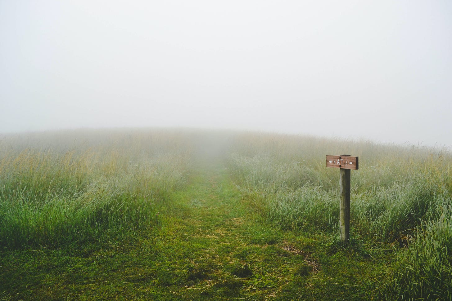foggy field with sign and walking path