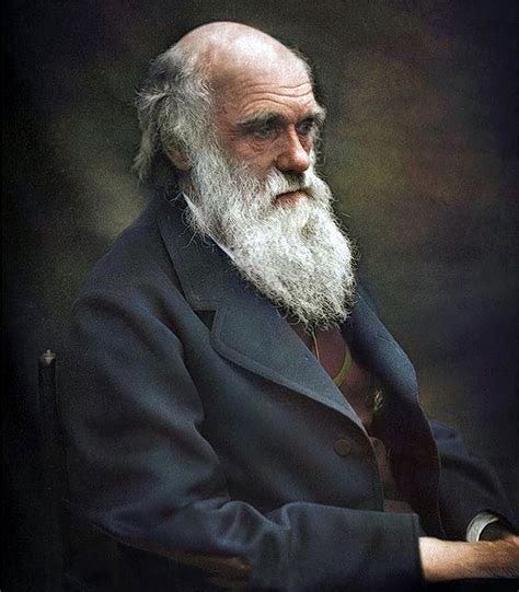 Charles Darwin (ca. 1874) | Ideias para retrato, Pintores, Escritores