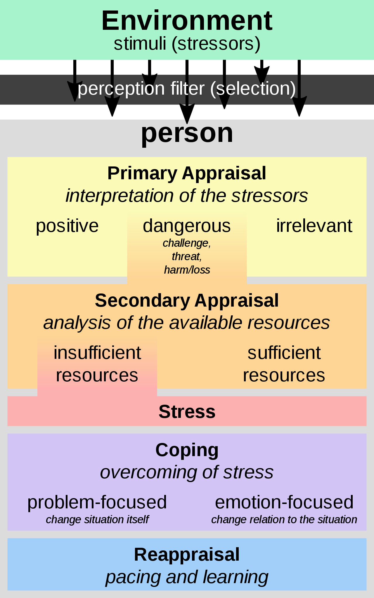 File:Transactional Model of Stress and Coping - Richard Lazarus.svg -  Wikipedia