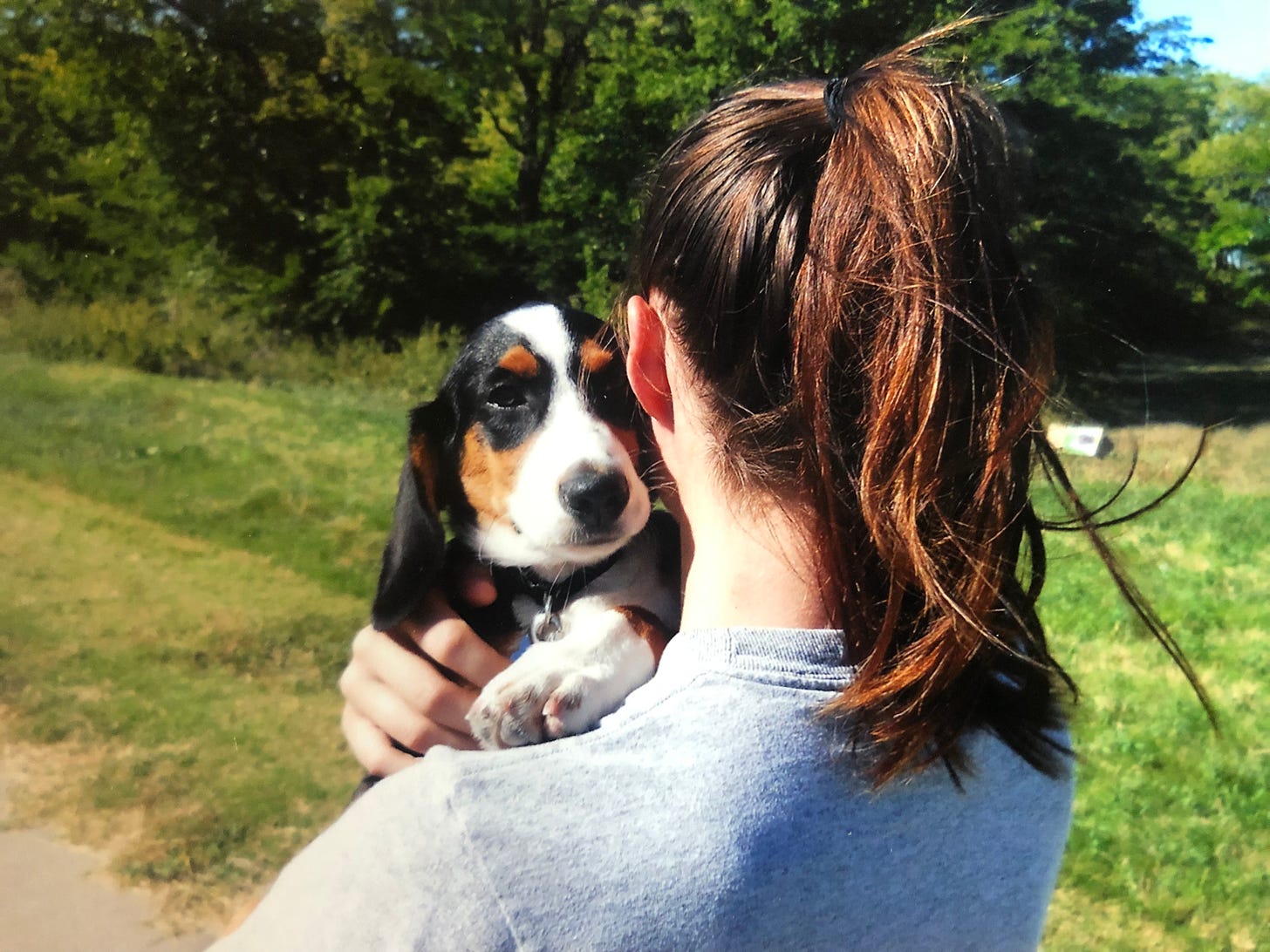 Woman carrying puppy with her back to the camera and the puppy looking over her shoulder.