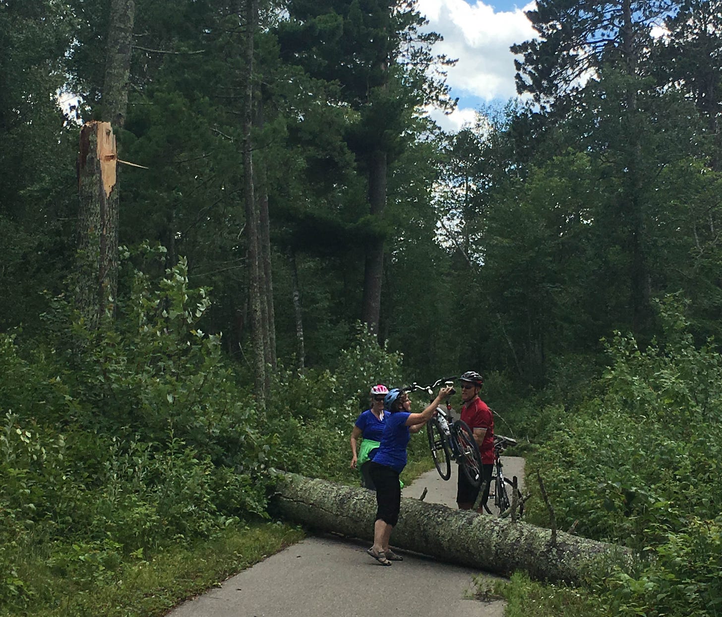 Biker handing bike to another biker, lifting over a fallen log across bike trail.