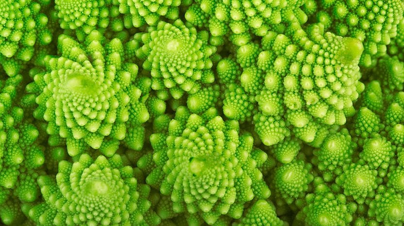 A close-up photo of a bright green romanesco broccoli, with a repeating swirl formation.