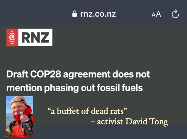on RNZ, David Tong described the draft text as "a buffet of dead rats"