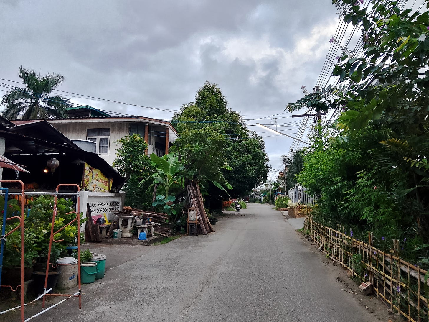 The quiet street where we live in Chiang Mai, lined with modest houses and abundant tropical greenery