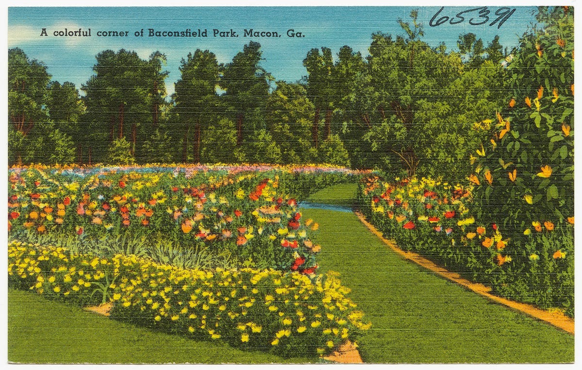 Baconsfield: Macon's Missing Park | by Megan Rosinko | The BearFaced Truth  | Medium