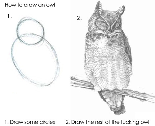 'how to draw an owl' instructions. step 1: (2 overlapping ovals) Draw some circles. step 2: (a beautifully rendered drawing of an owl) Draw the rest of the fucking owl.