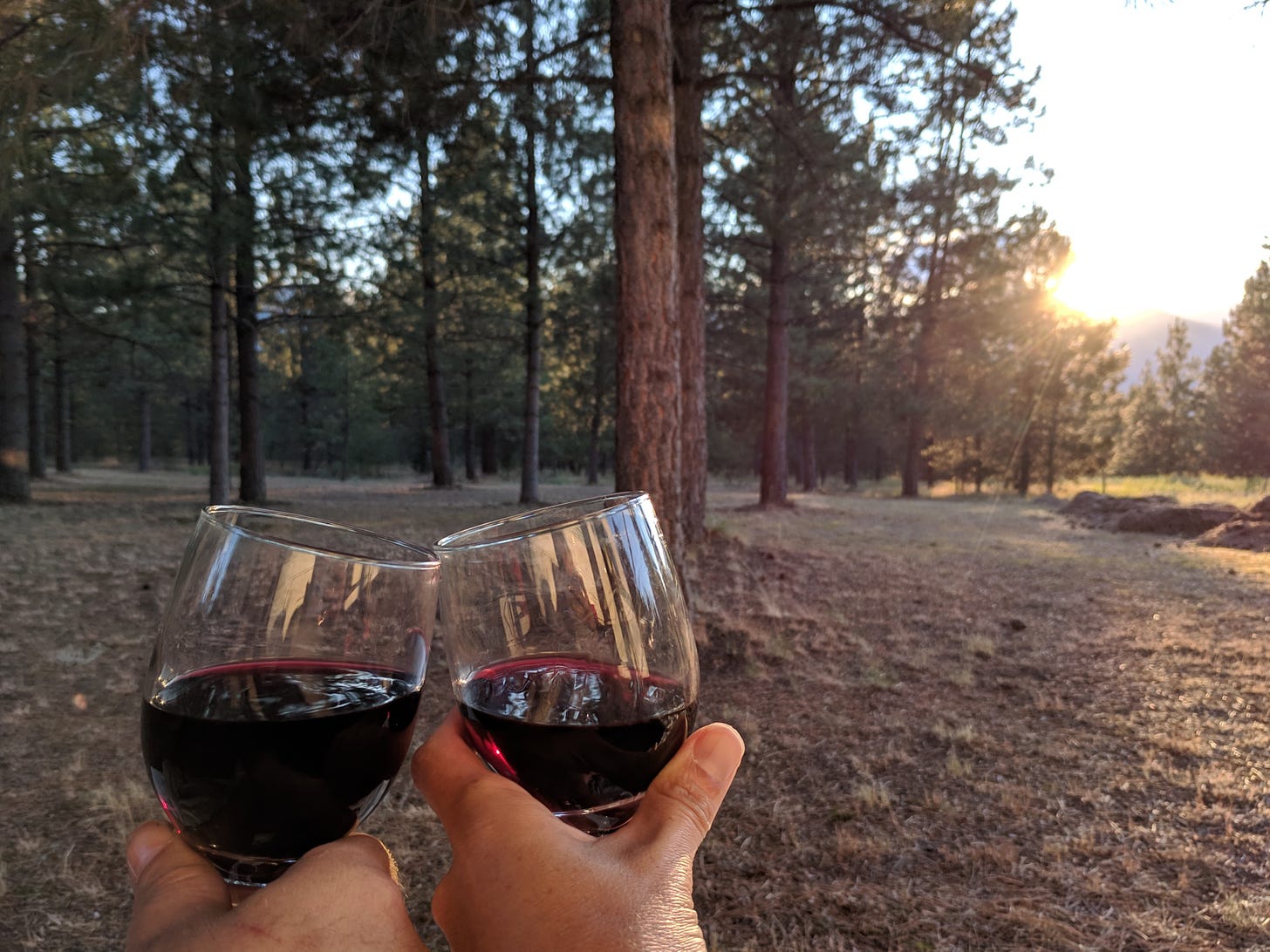 two hands holding glasses of red wine, clinking together, with a view of pine trees and mountains in the sunset