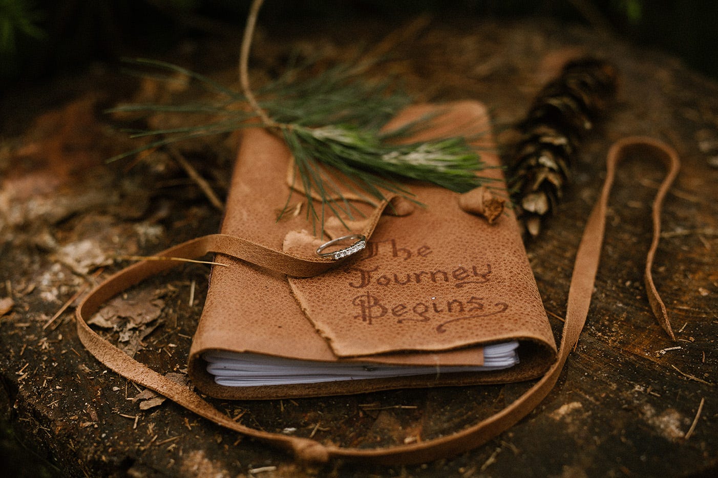 A leather journal lies on the ground amid fallen leaves and a spring of pine placed across it. On its cover is embossed the text “The Journey Begins”.