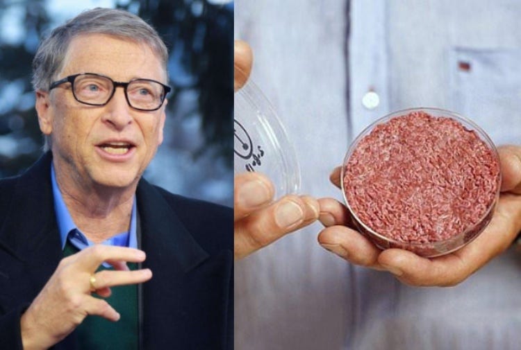 Gates e la carne sintetica