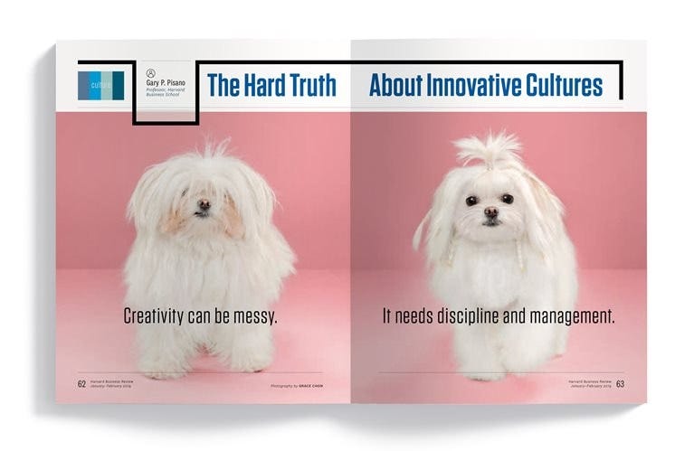 Why are innovative cultures so hard to get right? The new winner of the HBR  McKinsey Award explains.