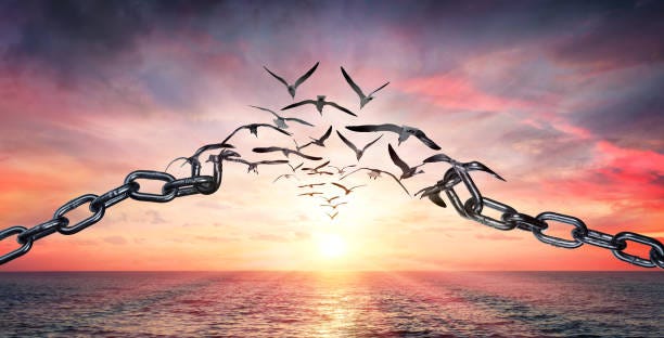 On The Wings Of Freedom Birds Flying And Broken Chains Charge Concept Stock  Photo - Download Image Now - iStock