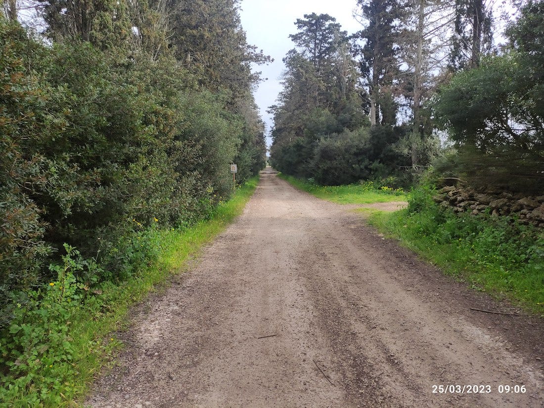 Wide path heading towards a sign marking the U-turn