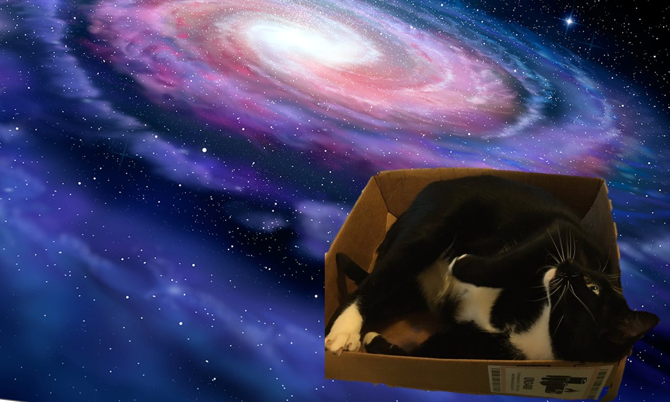 a cat in a box floating through space