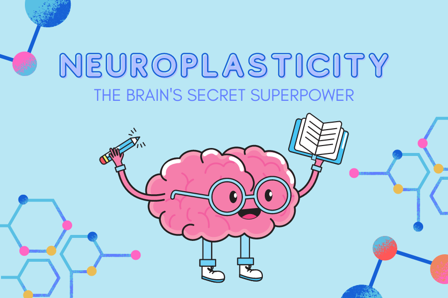 Neuroplasticity: The Brain's Secret Superpower – Scientific Scarsdalian
