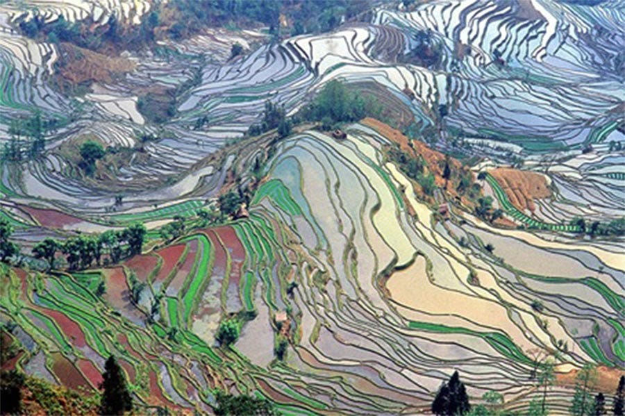 Terrace fields Yunnan China (Jialiang Gao/ CC BY-SA 3.0)