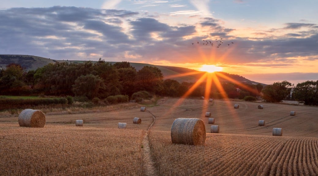 Rodmell Barley Fields Sunset - UK Landscape Photography