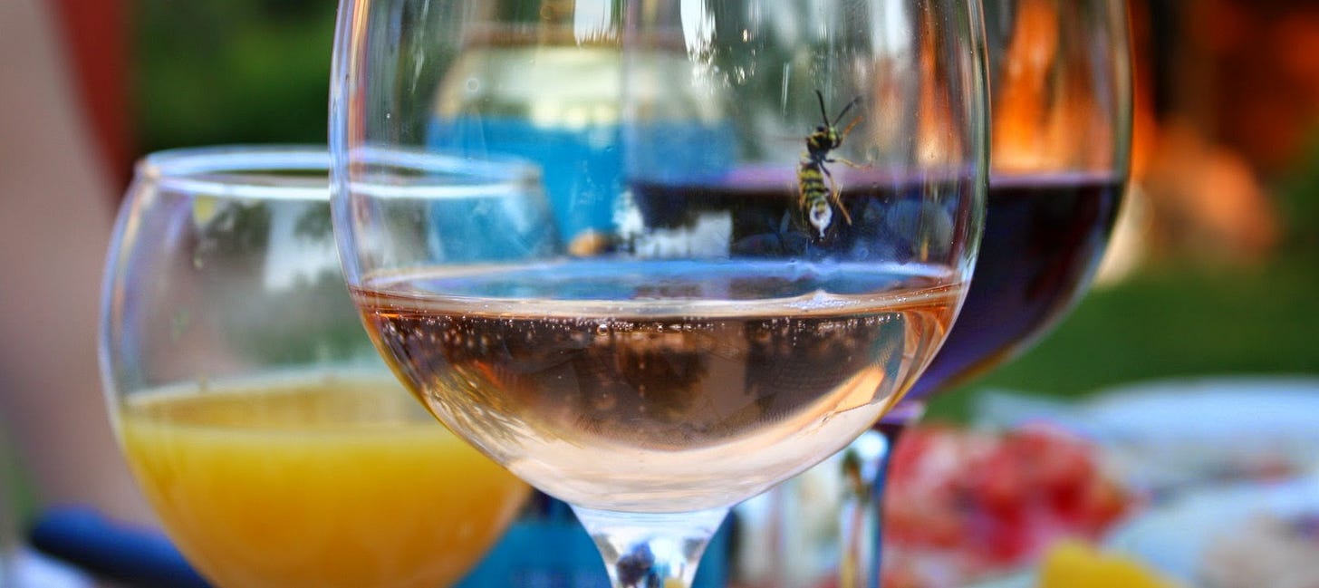 Wine glasses at a summer party