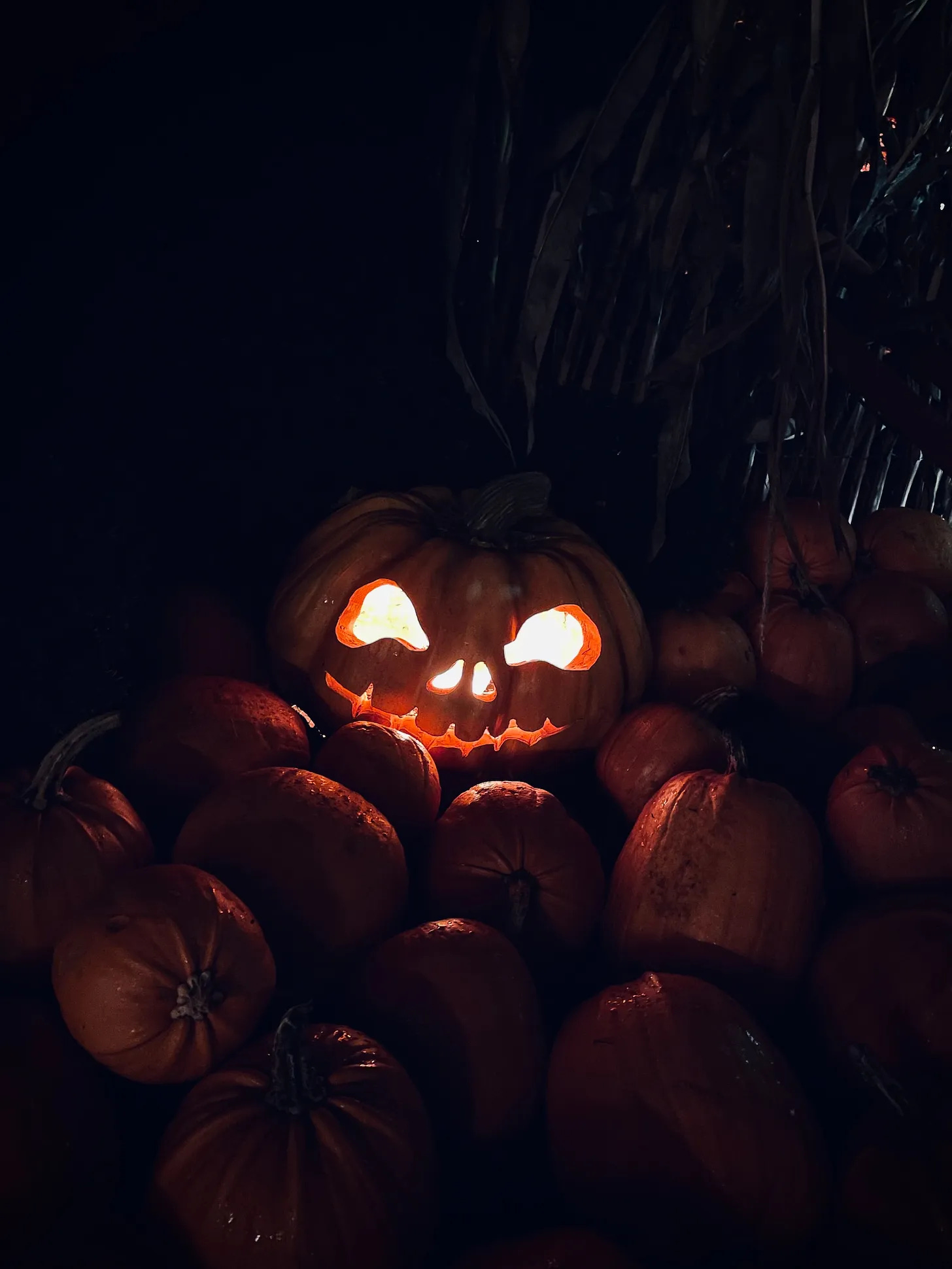 One jack-o-lantern in a pile of pumpkins at night