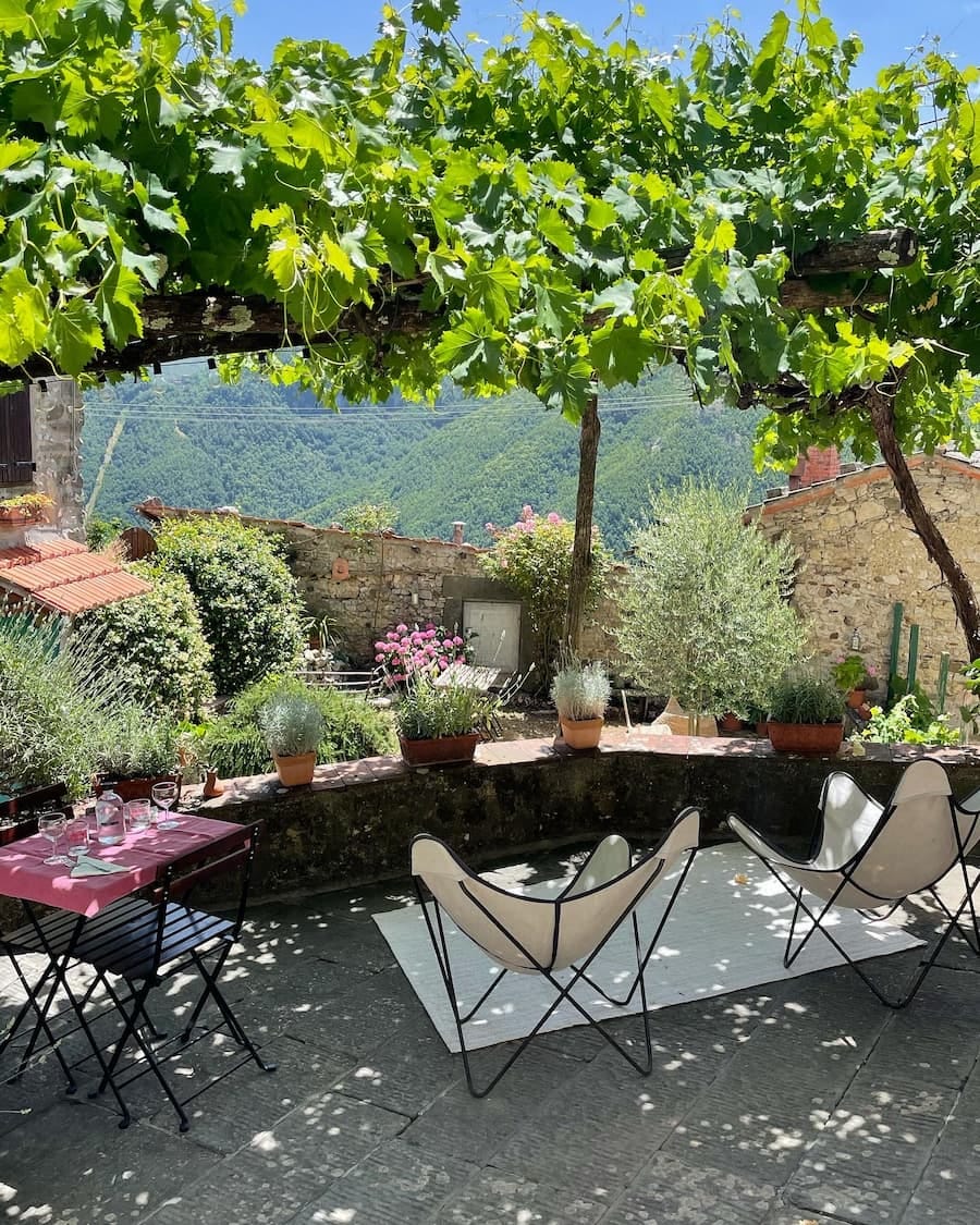 Tuscan garden with grape vine looking down into the valley