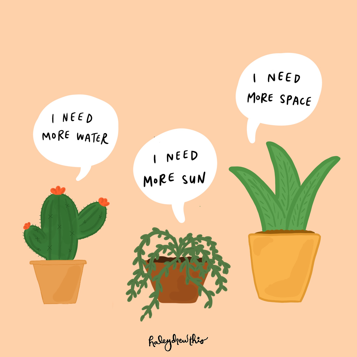 three plants with speech bubbles that read, "I need more water," "I need more sun," and "I need more space."
