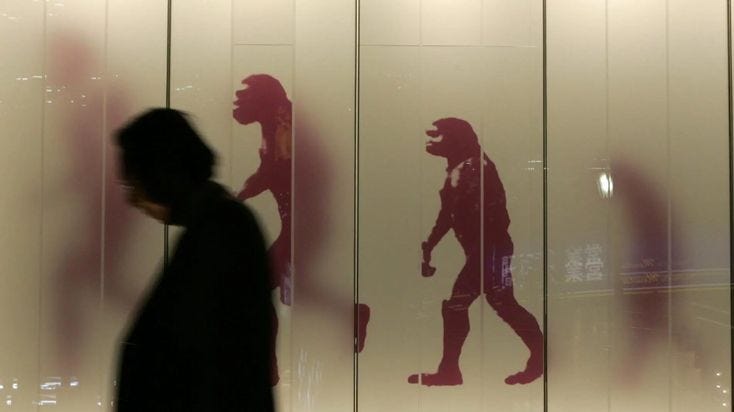 That popular monkey-to-man chart gets evolution all wrong | Science ...